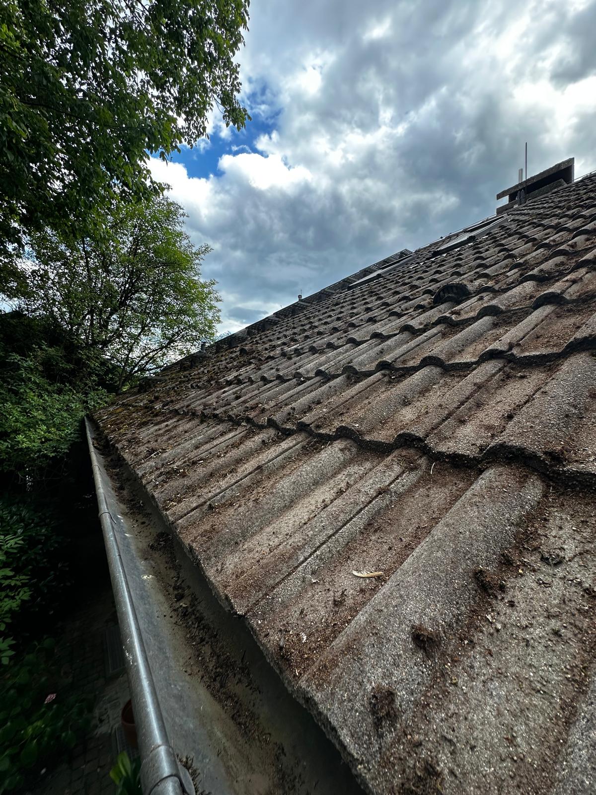 Reinigungsprojekt Außenreinigung Yupanqui